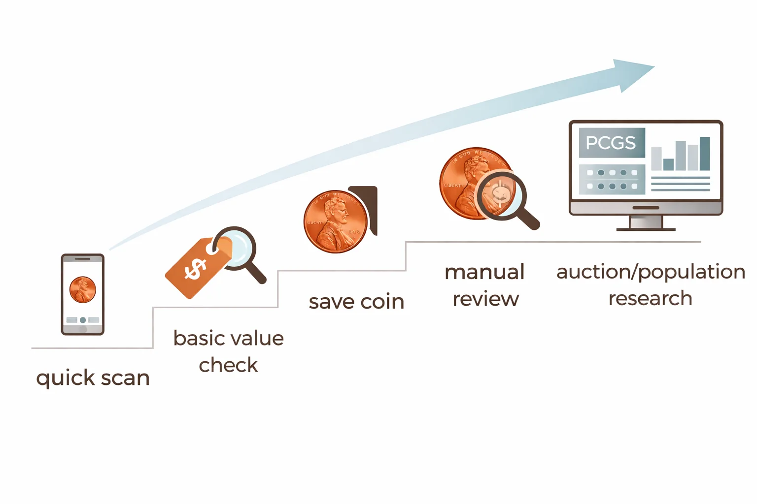Coin screening workflow infographic from quick scan to auction and population research.